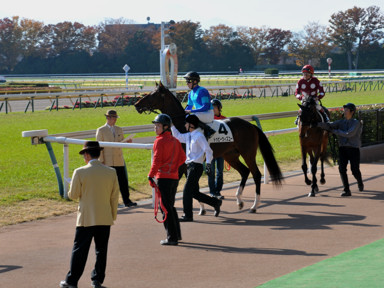 2013/11/24 東京06R