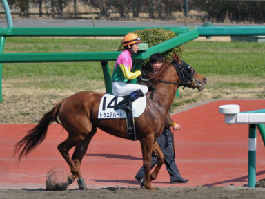 2014/03/16 中山08R