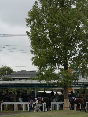 2004/09/26 高崎10R