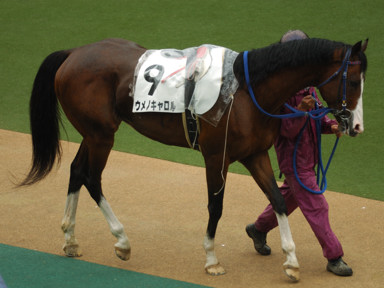 2010/05/23 東京07R