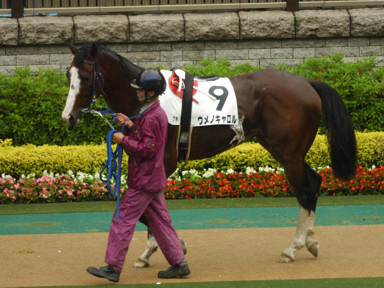 2010/05/23 東京07R
