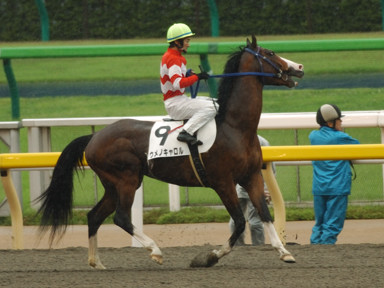 2010/05/23 東京07R