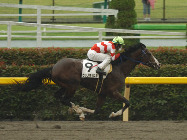 2010/05/23 東京07R