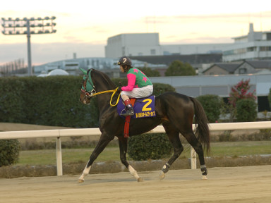 2004/12/23 川崎10R