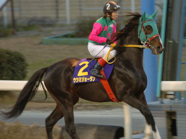 2004/12/23 川崎10R