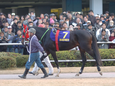 2005/01/26 川崎10R