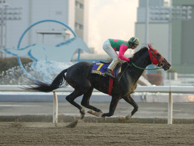 2005/01/26 川崎10R