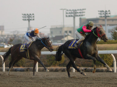 2005/01/26 川崎10R