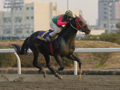 2005/01/26 川崎10R