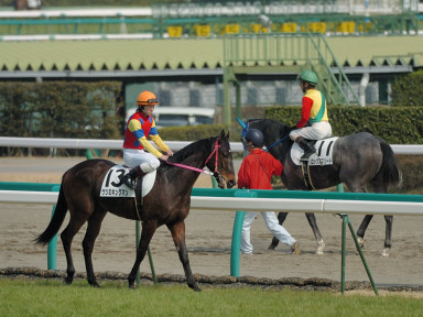 2007/03/04 ’†ŽR07R