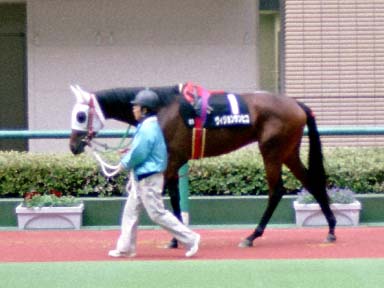 2001/11/03 福島09R