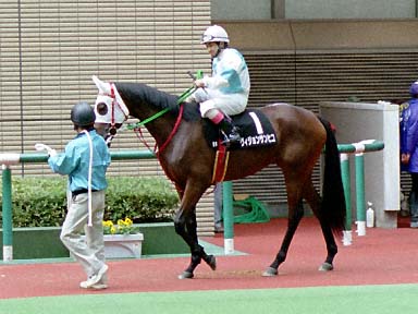 2001/11/03 福島09R
