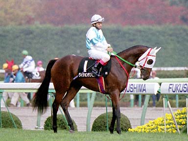 2001/11/03 福島09R