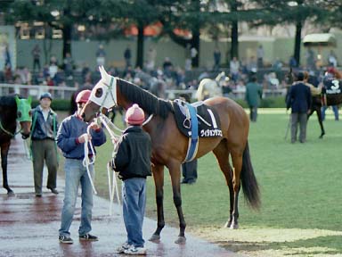 2002/01/27 東京09R