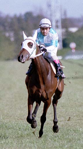 2002/01/27 東京09R