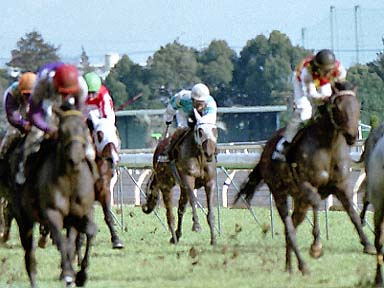 2002/01/27 東京09R