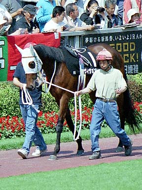 2002/05/25 東京09R