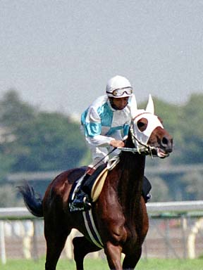 2002/05/25 東京09R