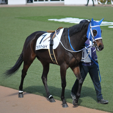 2022/03/06 中山08R