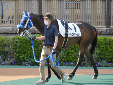 2022/05/07 東京12R