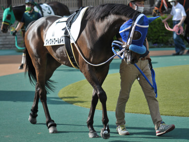 2022/05/07 東京12R