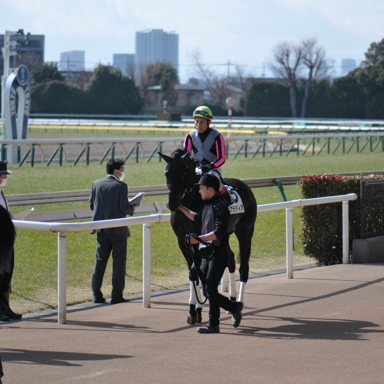 2023/02/12 東京06R