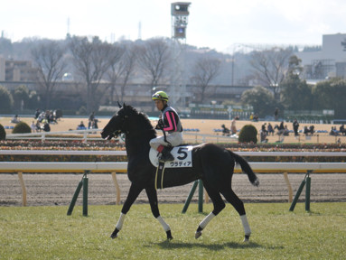 2023/02/12 東京06R