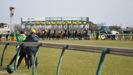 2023/02/12 東京06R