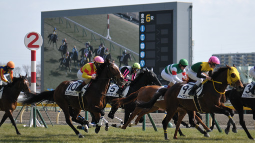 2023/02/12 東京06R