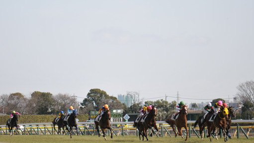 2023/02/12 東京06R