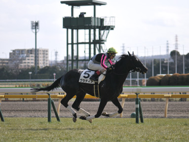 2023/02/12 東京06R