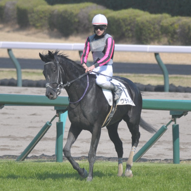 2023/04/01 中山08R