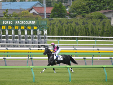 2024/06/01 東京01R