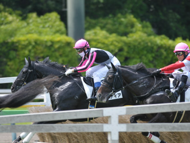 2024/06/01 東京01R