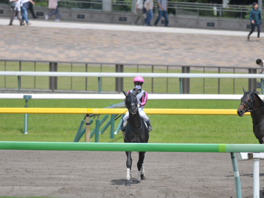 2024/06/01 東京01R