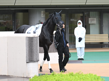 2025/05/31 東京04R