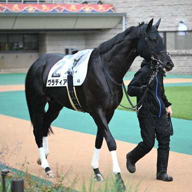 2025/05/31 東京04R