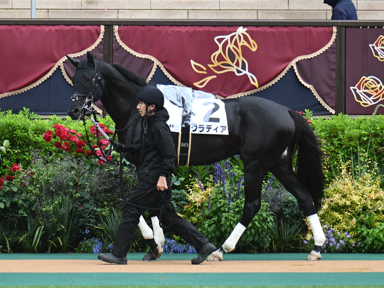 2025/05/31 東京04R