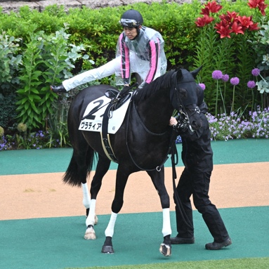 2025/05/31 東京04R