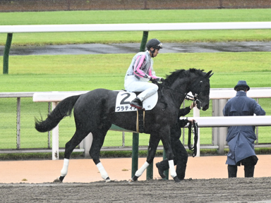 2025/05/31 東京04R