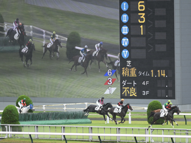 2025/05/31 東京04R