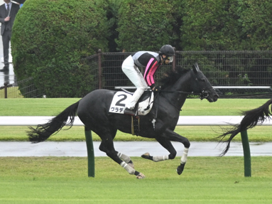 2025/05/31 東京04R