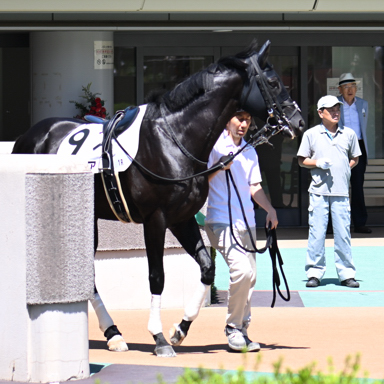 2025/06/22 東京01R