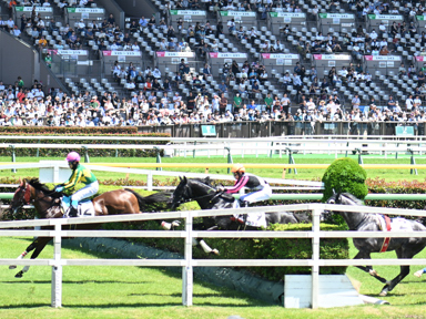 2025/06/22 東京01R