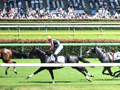 2025/06/22 東京01R