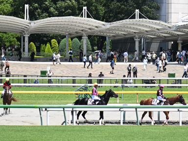 2025/06/22 東京01R