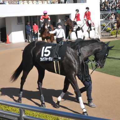 2023/03/19 中山10R