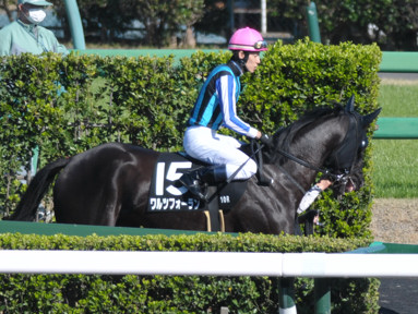 2023/03/19 中山10R