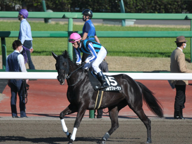 2023/03/19 中山10R