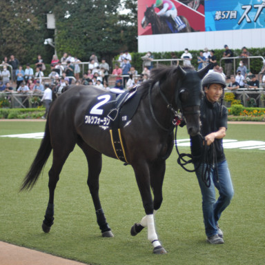 2023/09/23 中山11R